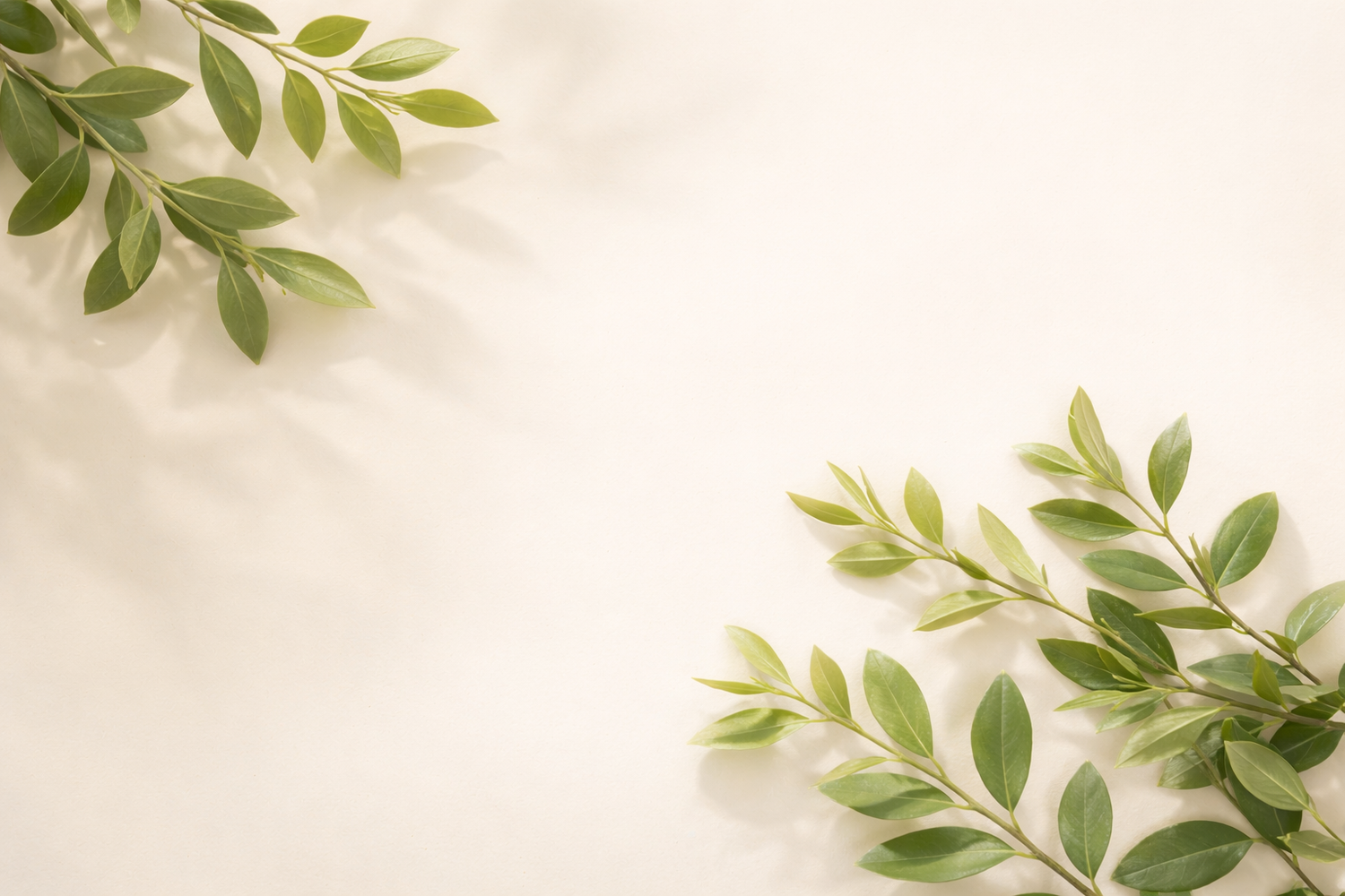 Botanical Skincare: The Future of Conscious Beauty and Healthy Skin
