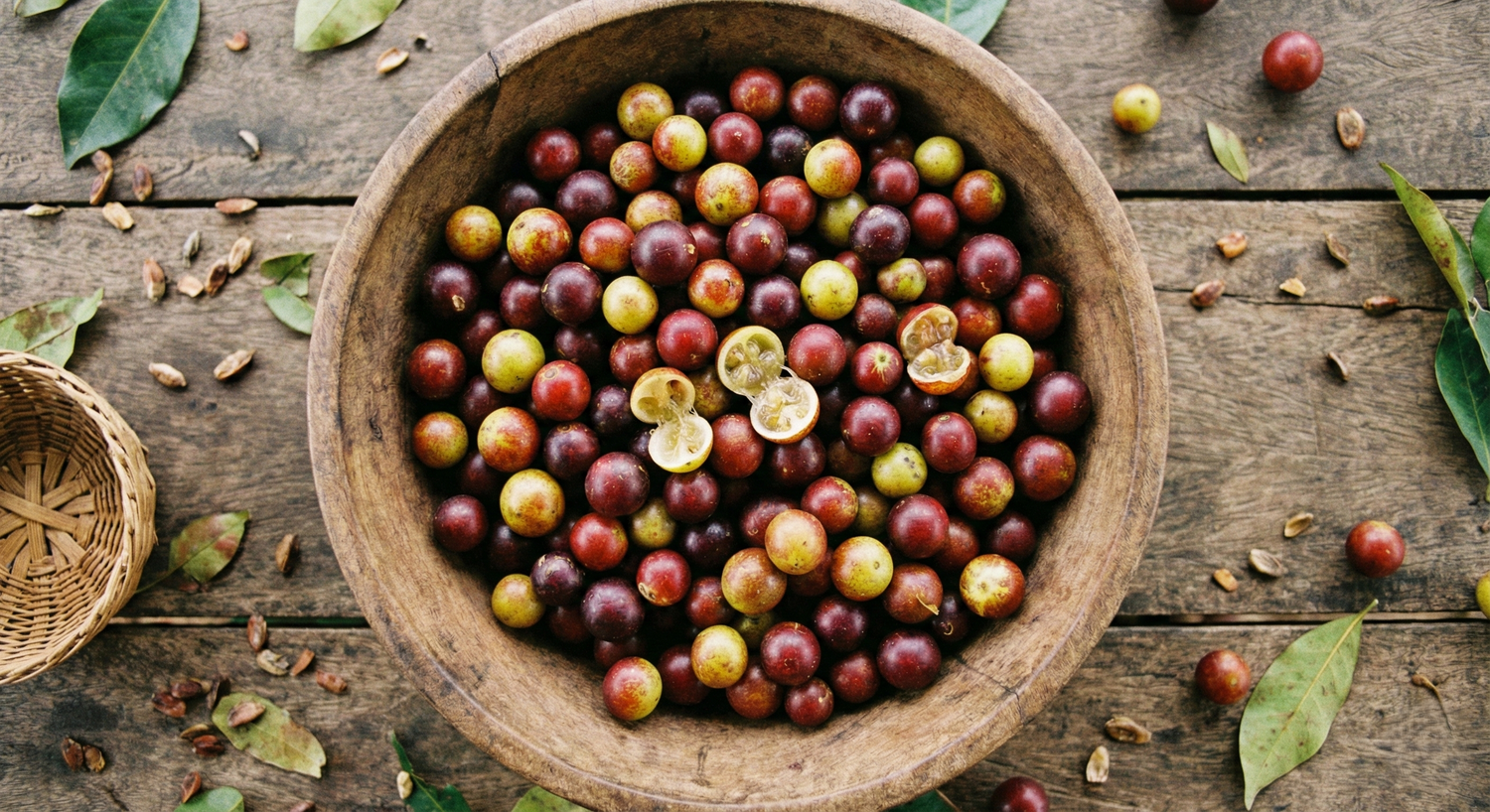 Camu Camu