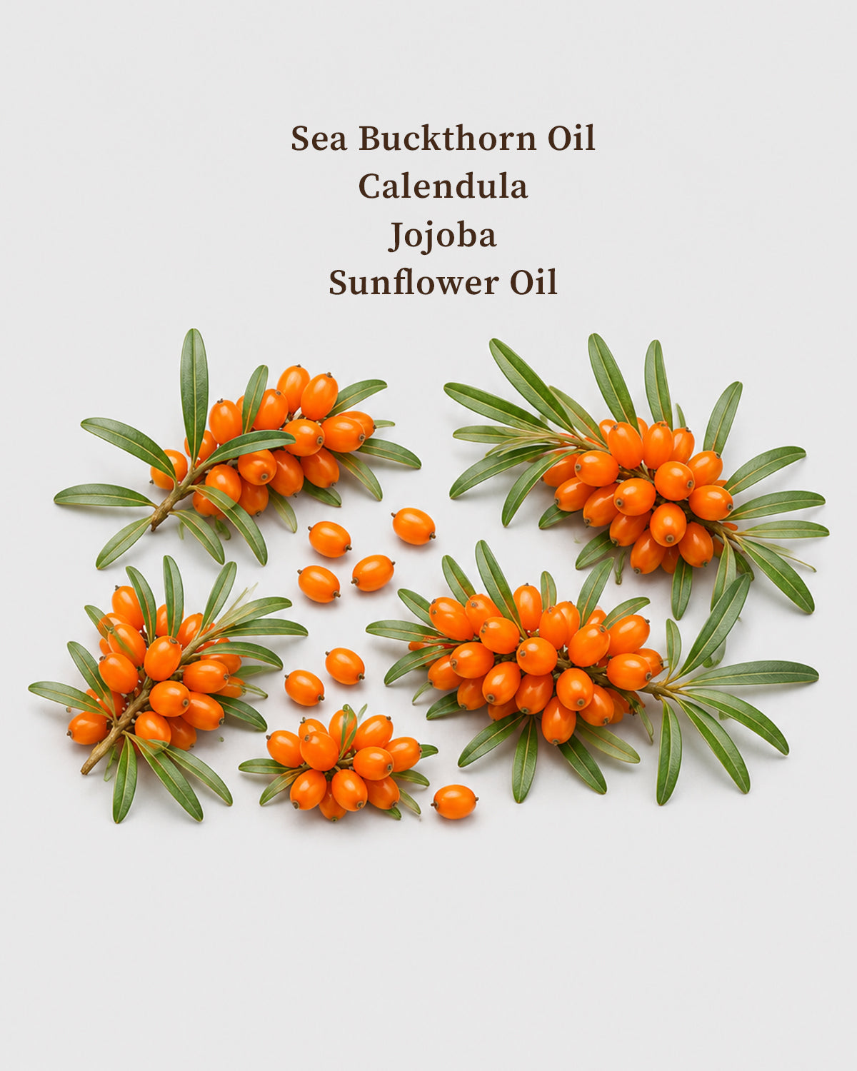 Youth Vitality Serum